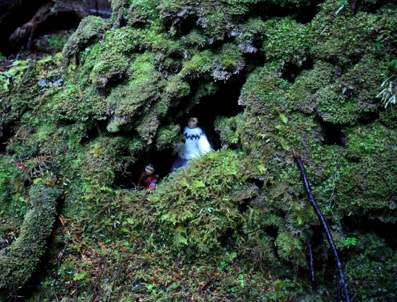 Deep Moss cave
