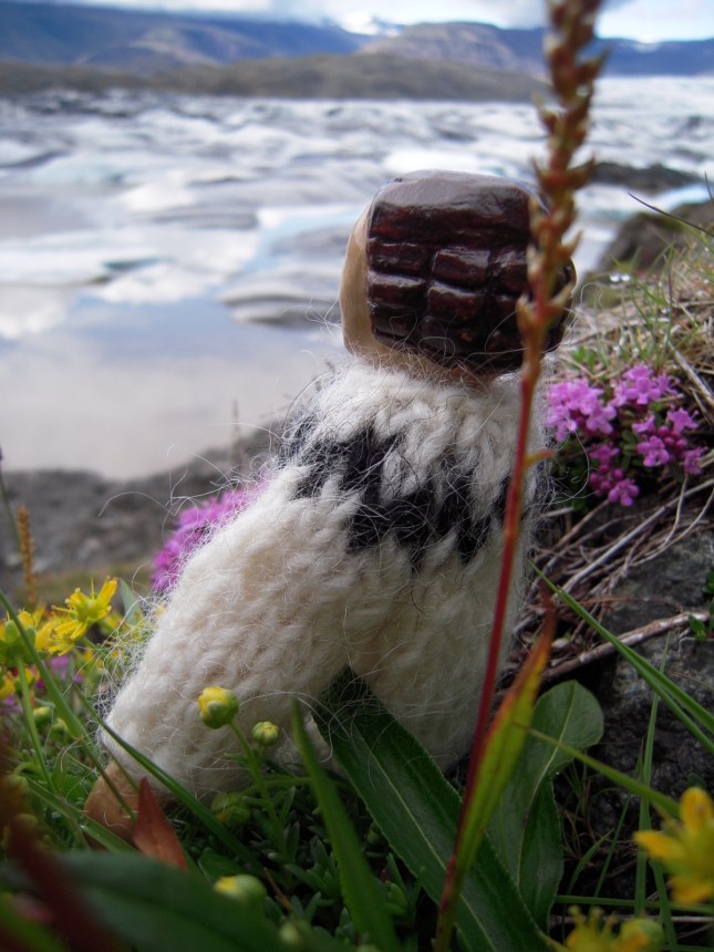 View from the Hitty Garden