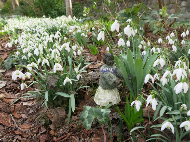 Perdita finds the most beautiful flower