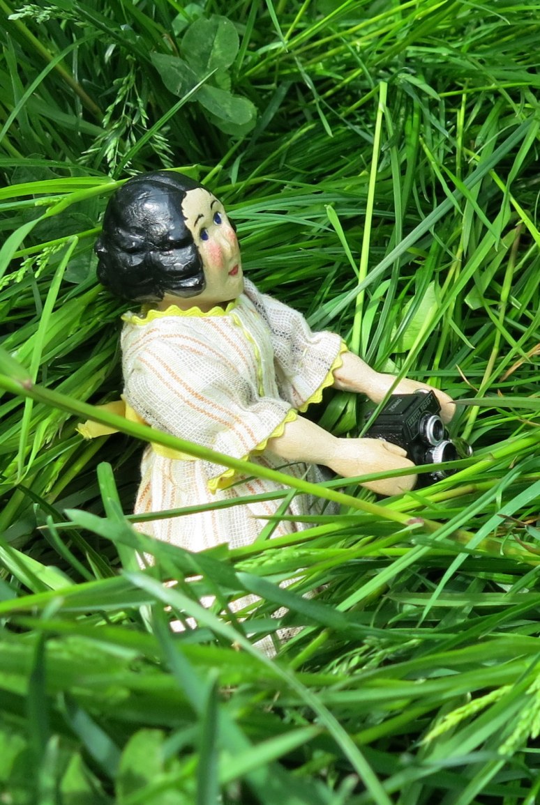 Tracking the wild beasts