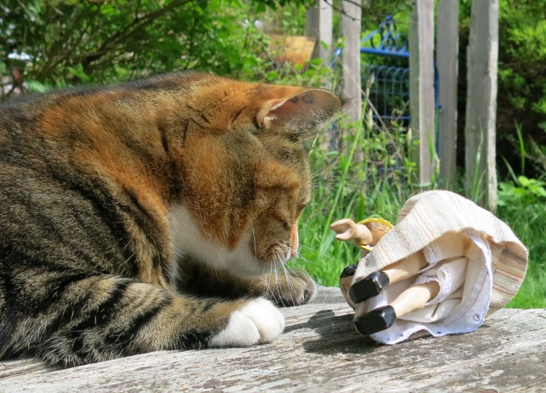 Unsuccessful Persuasion