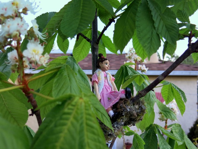 Dawn in the Chestnut