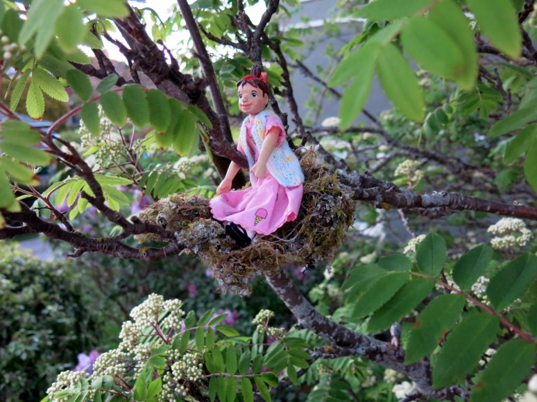 Dawn in the Mountain Ash