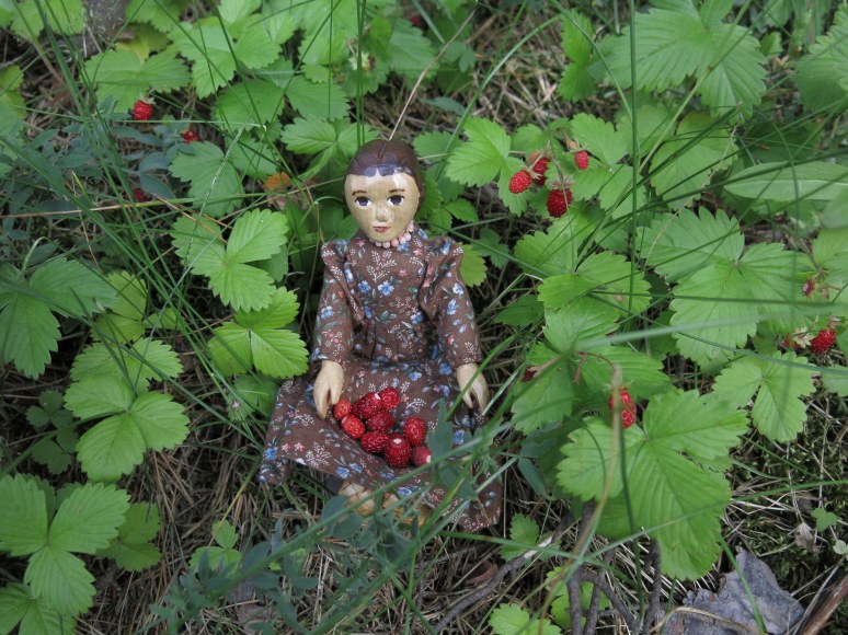 A lapful of Imatra Strawberries