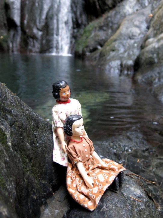 The edge of the forest pool