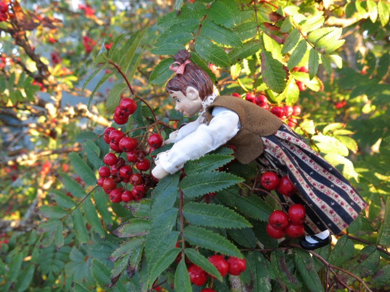 Min enjoys the Ash tree fruit