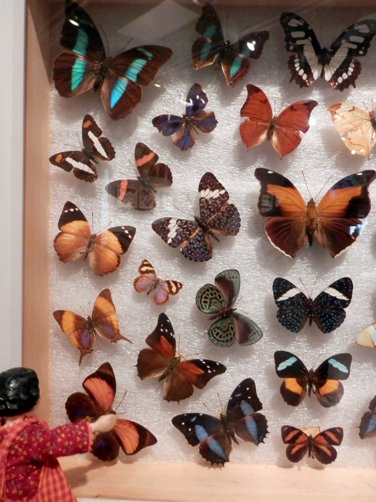 Jewels of the Animal Kingdom