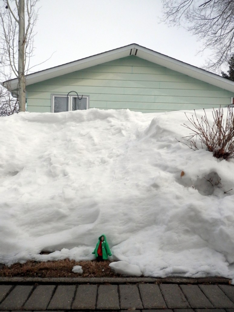 See the patch of Grass?