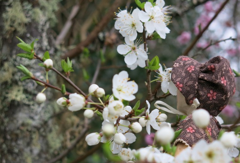 White Plum Blossom
