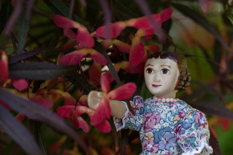 Japanese Maple bracts