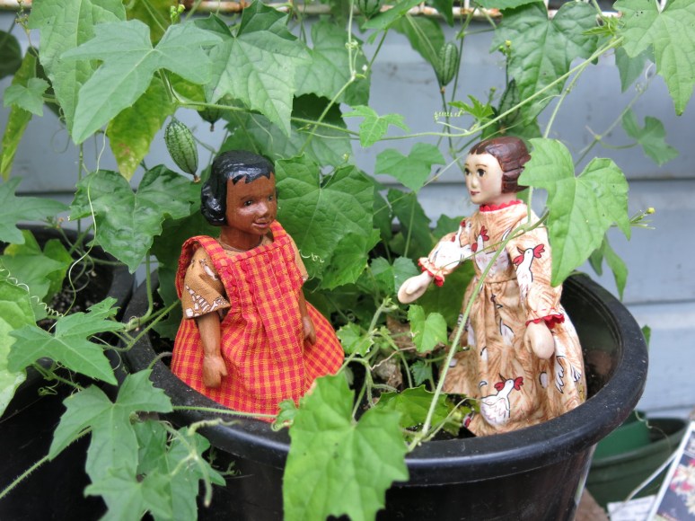 A glasshouse full of delicious plants