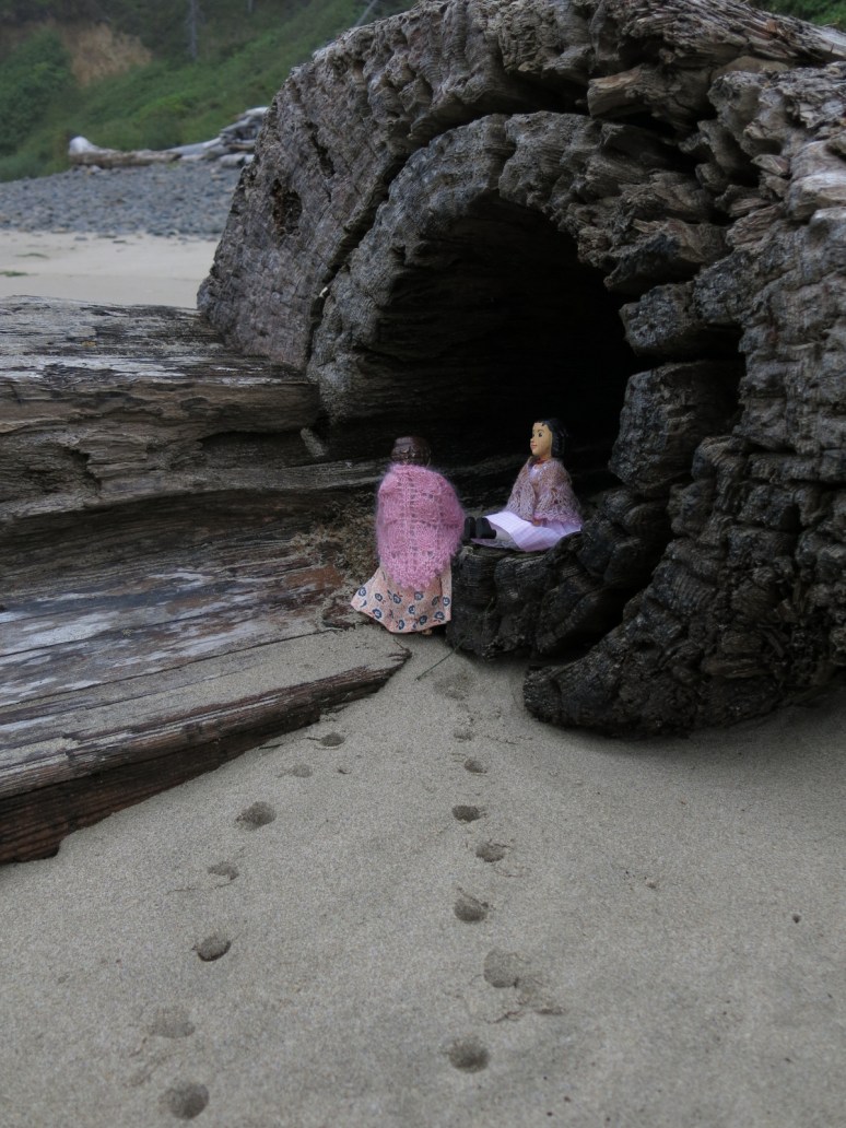 Hollow Log Exploring