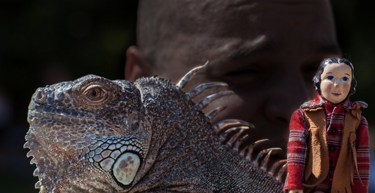 1-quadraislandmarket (1)