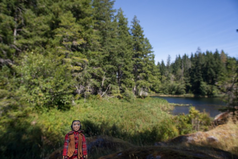 Marshes with Deerbrush