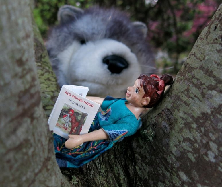 Reading in the Woods