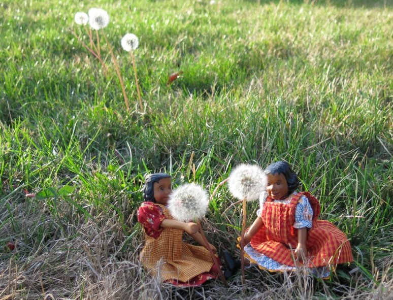 Dandelion Clocks