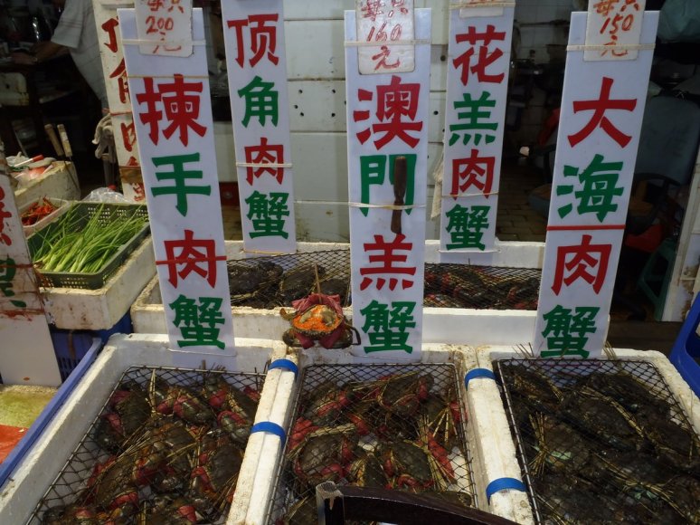 Fish Market Wan Chai Ferry Terminal