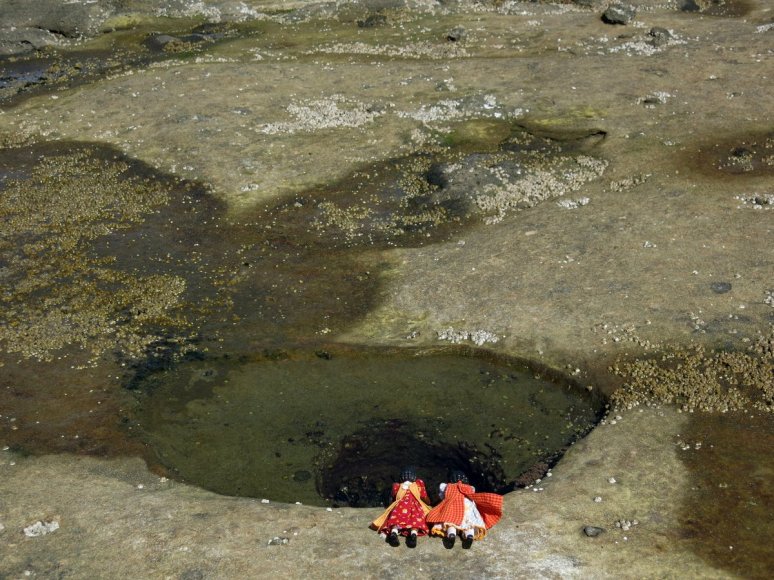 Tide Pool