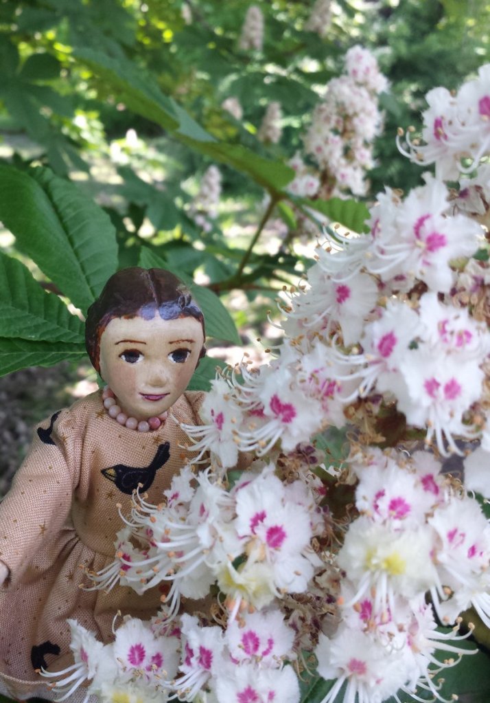 White Horse Chestnut blossoms