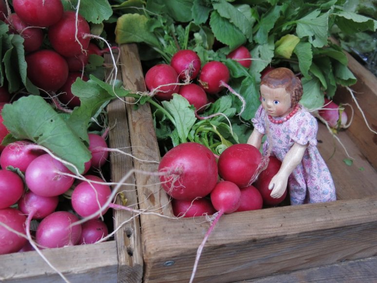 Haliburton Radishes