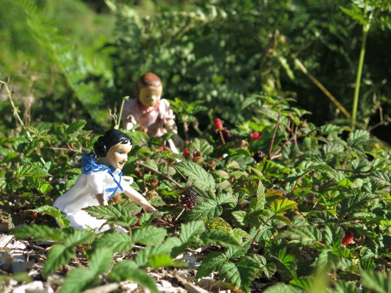 Sweet Wild Blackberries