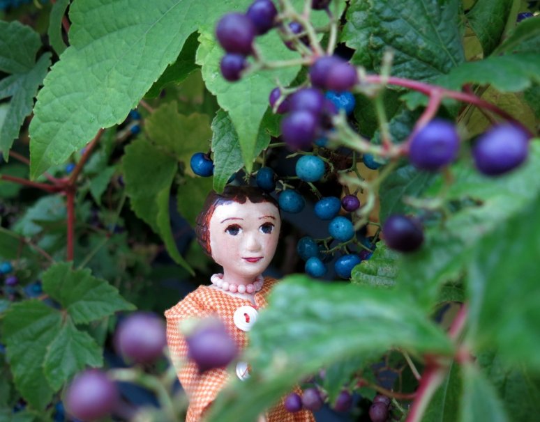 Blue and Purpleberry