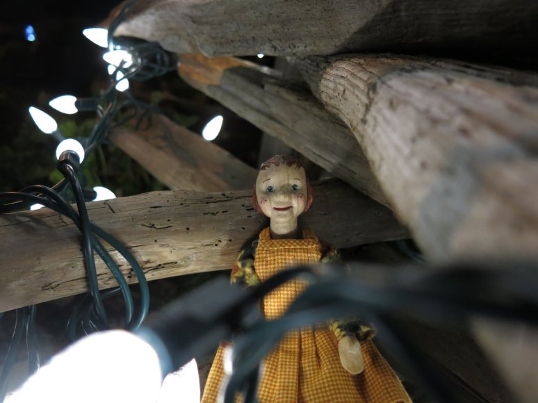 White Driftwood tree