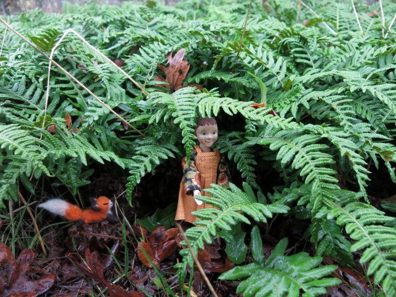 Fern forest