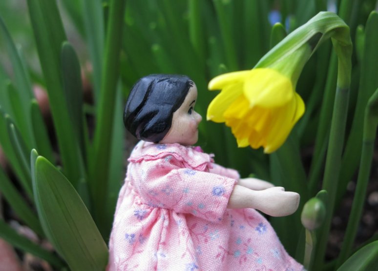 Yellow Cheerfulness?