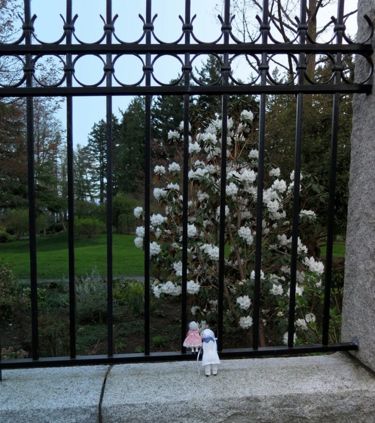 Thank you, your honour