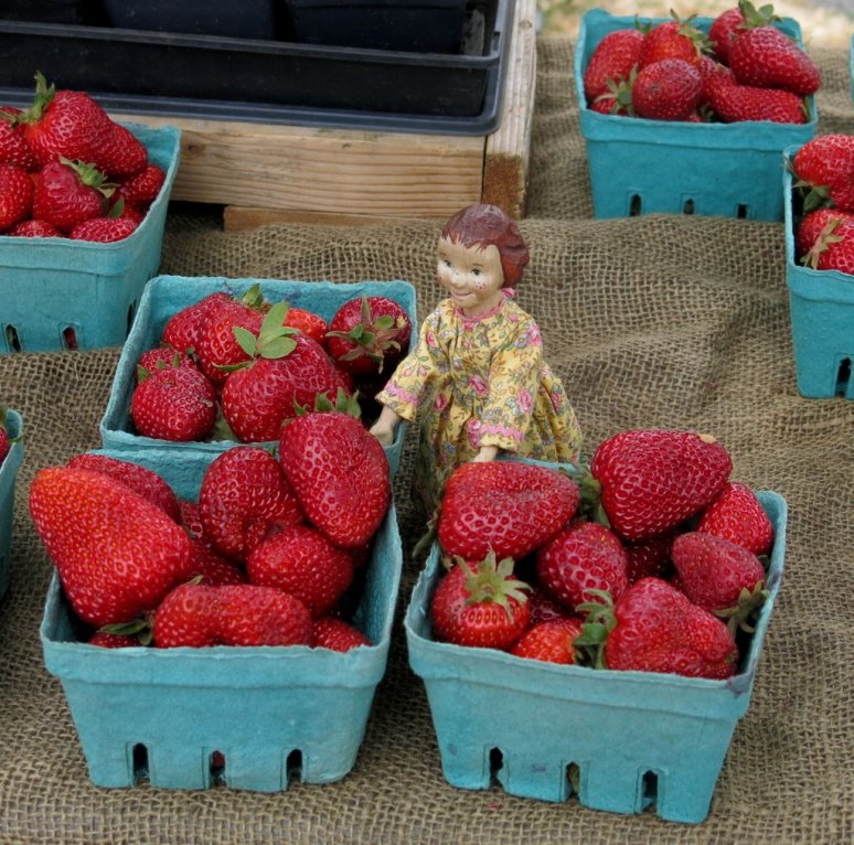 Farmer's Market