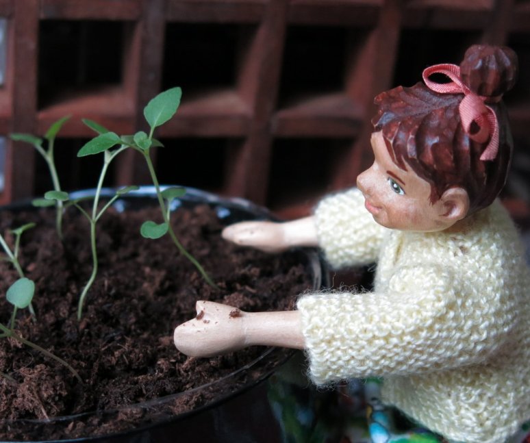 Grow Bee Balm, Grow!