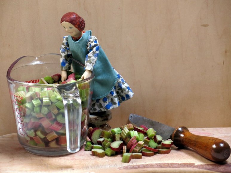 One pound of rhubarb