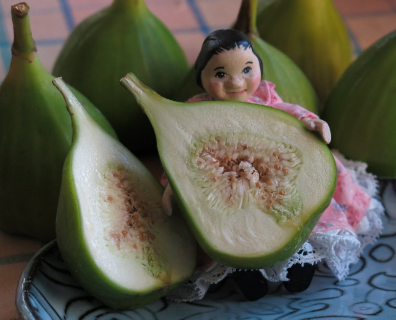 Fig Feast
