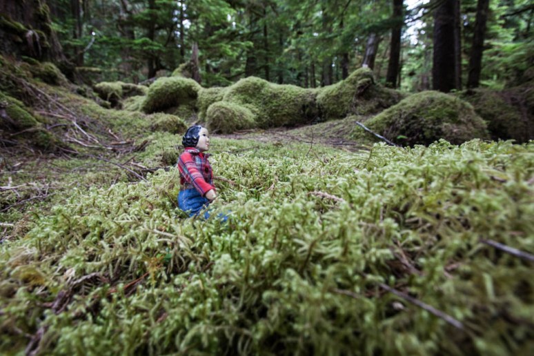 5Tansy Catalogues Moss (3)