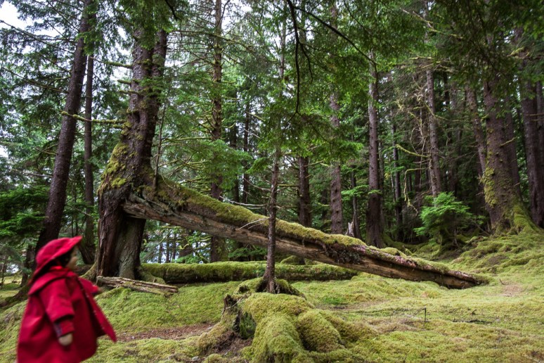 6Tansy_at_Tanu (24a)