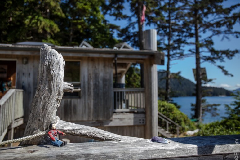 12Tansy_at_Hotsprings (1)