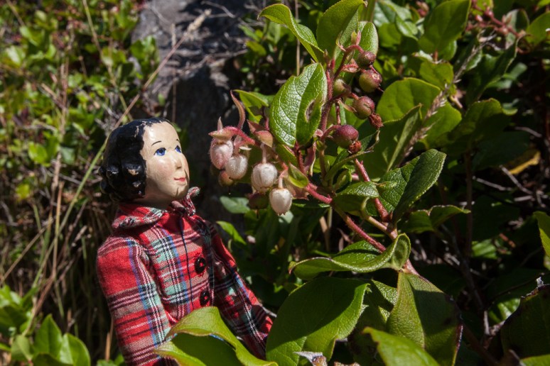 12Tansy_at_Hotsprings (13)