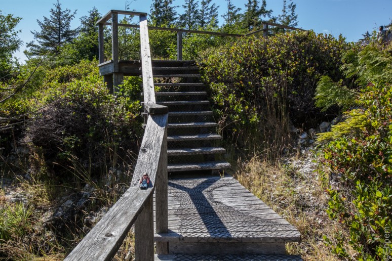 12Tansy_at_Hotsprings (5)