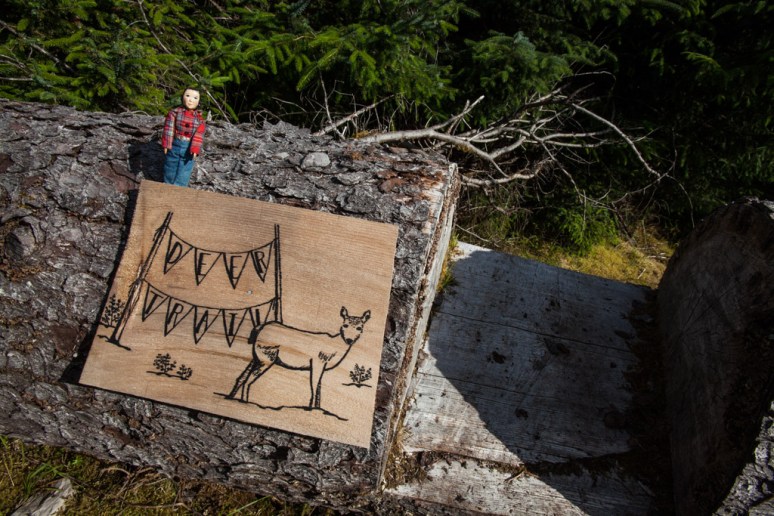 16Tansy_at_Laskeek_Bay_Conservation_Society (10)