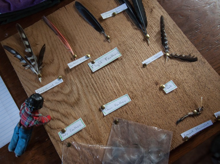 16Tansy_at_Laskeek_Bay_Conservation_Society (16)