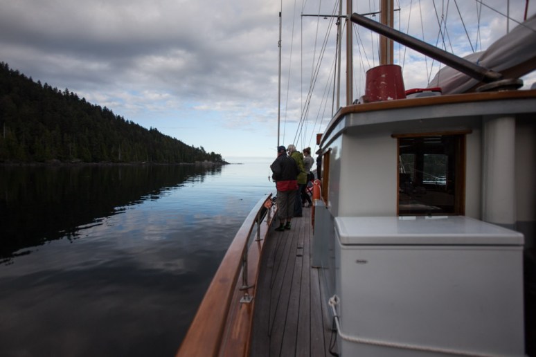 16Tansy_at_Laskeek_Bay_Conservation_Society (22)