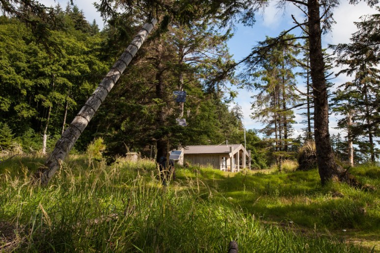 17Tansy_at_Skedans (1)