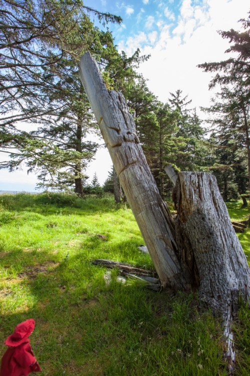 17Tansy_at_Skedans (10)