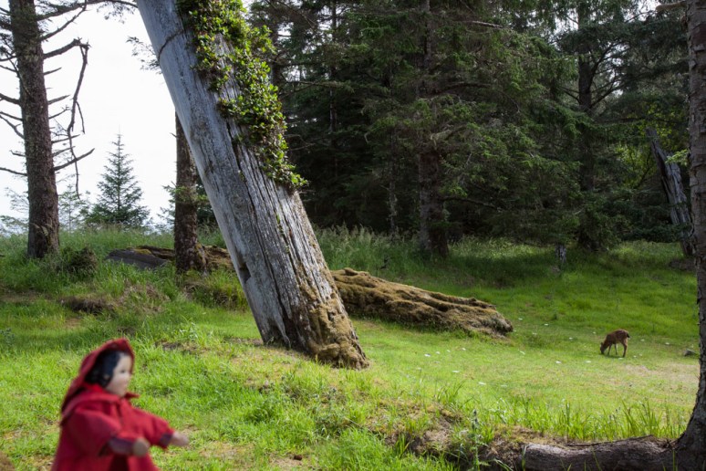 17Tansy_at_Skedans (13)