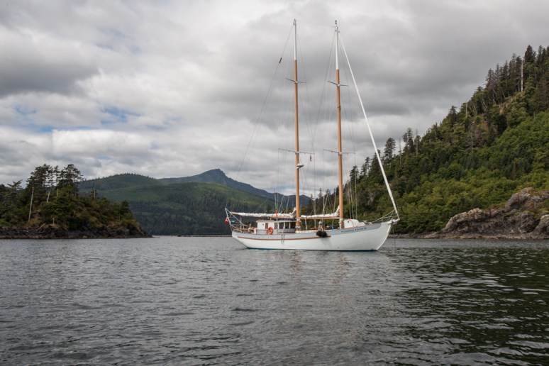 17Tansy_at_Skedans (21)