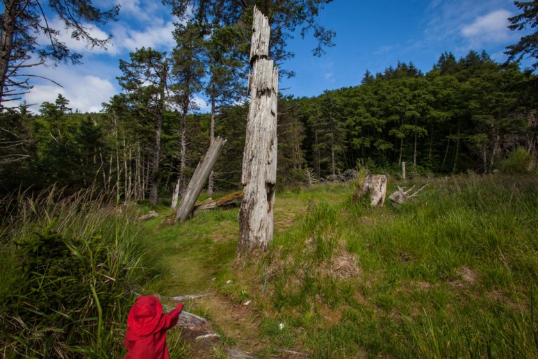 17Tansy_at_Skedans (9)