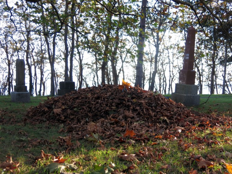 Leaf Pile