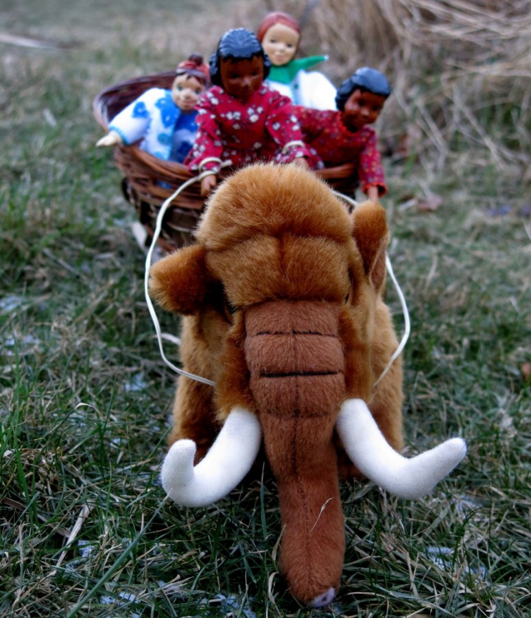 Over the fields we go