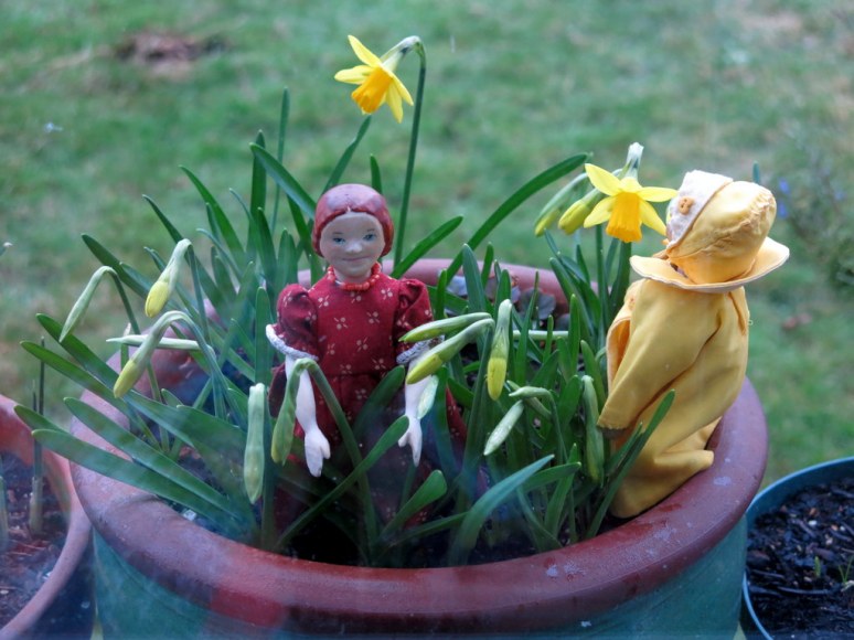 Daffodils